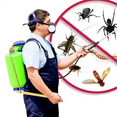 pest control Butler